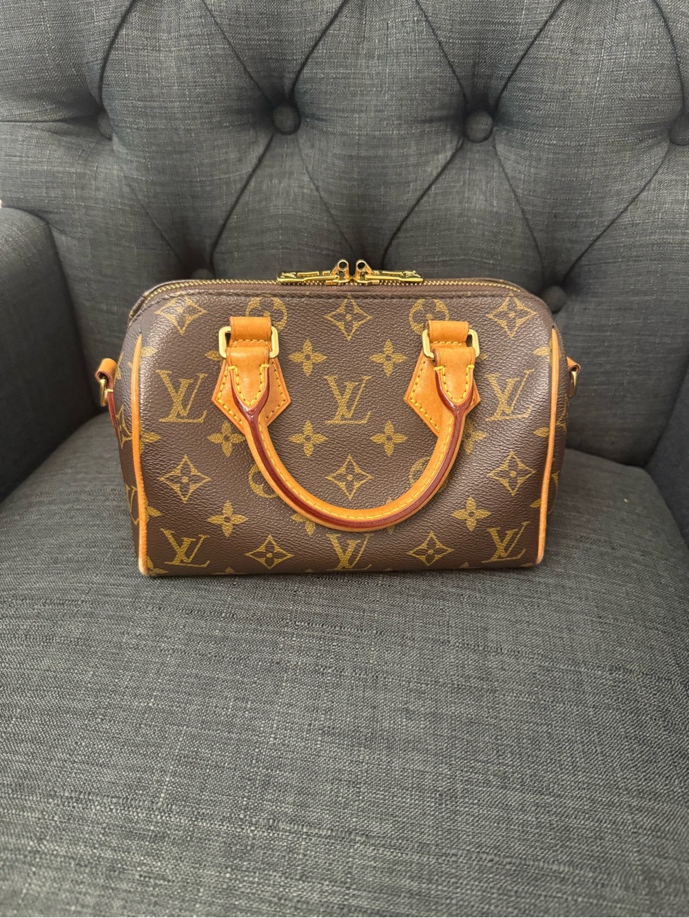 Louis Vuitton Speedy 20